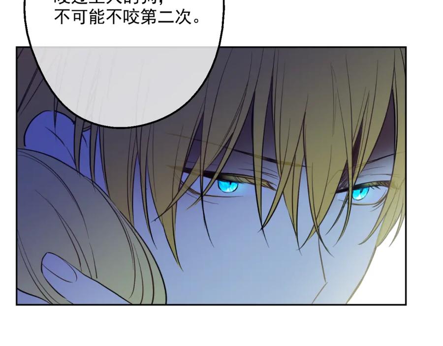第219页