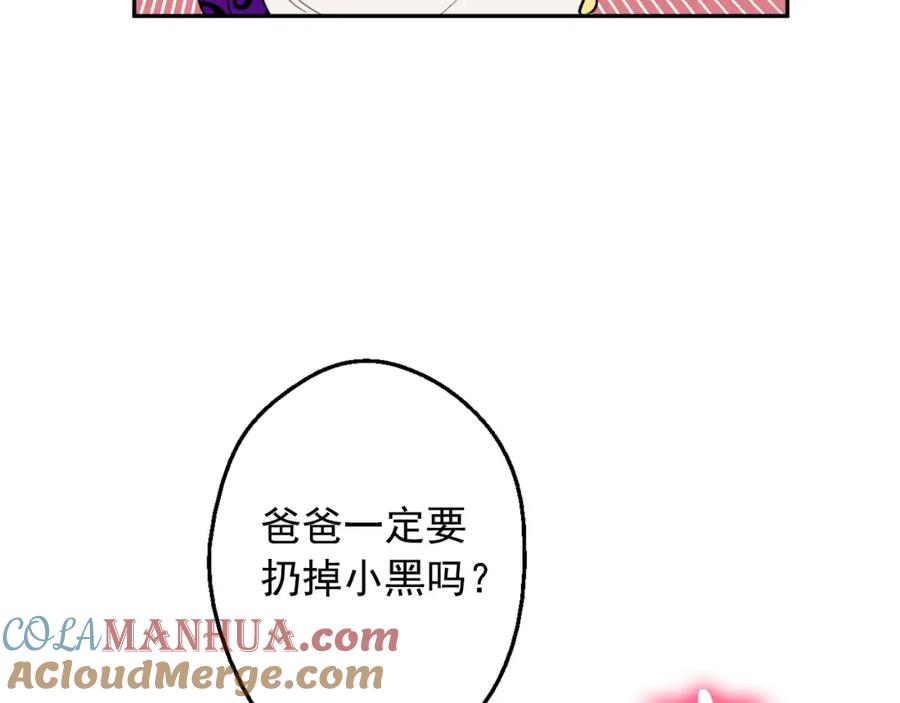 第221页