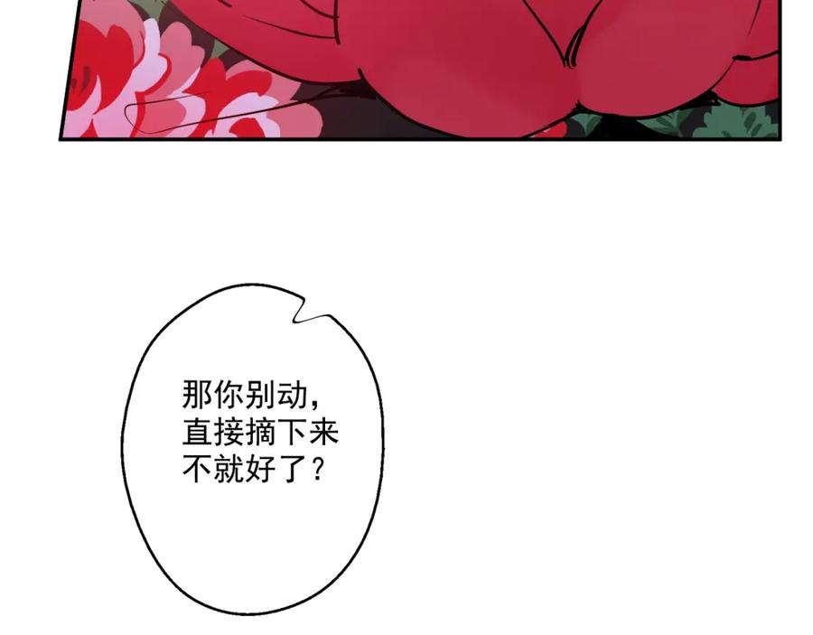 第219页