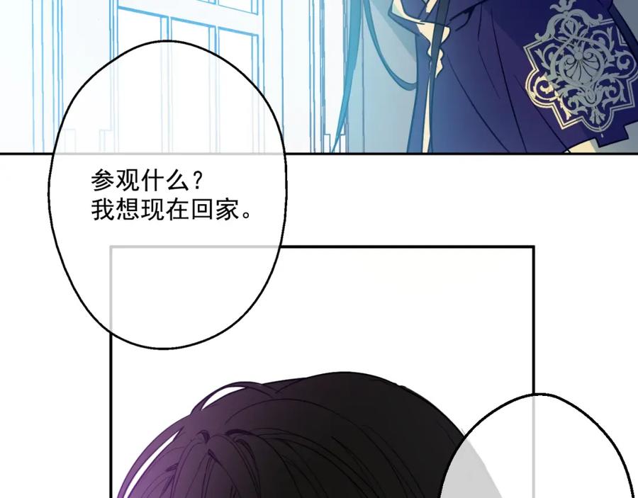 第206页