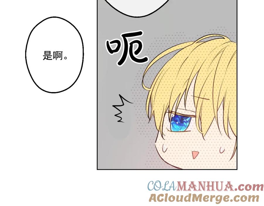 第217页