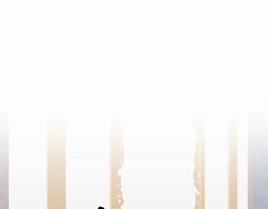 第224页