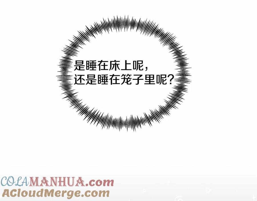 第205页