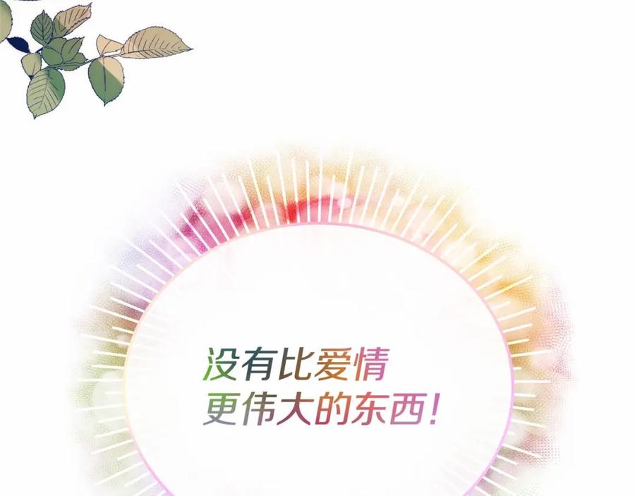 第242页
