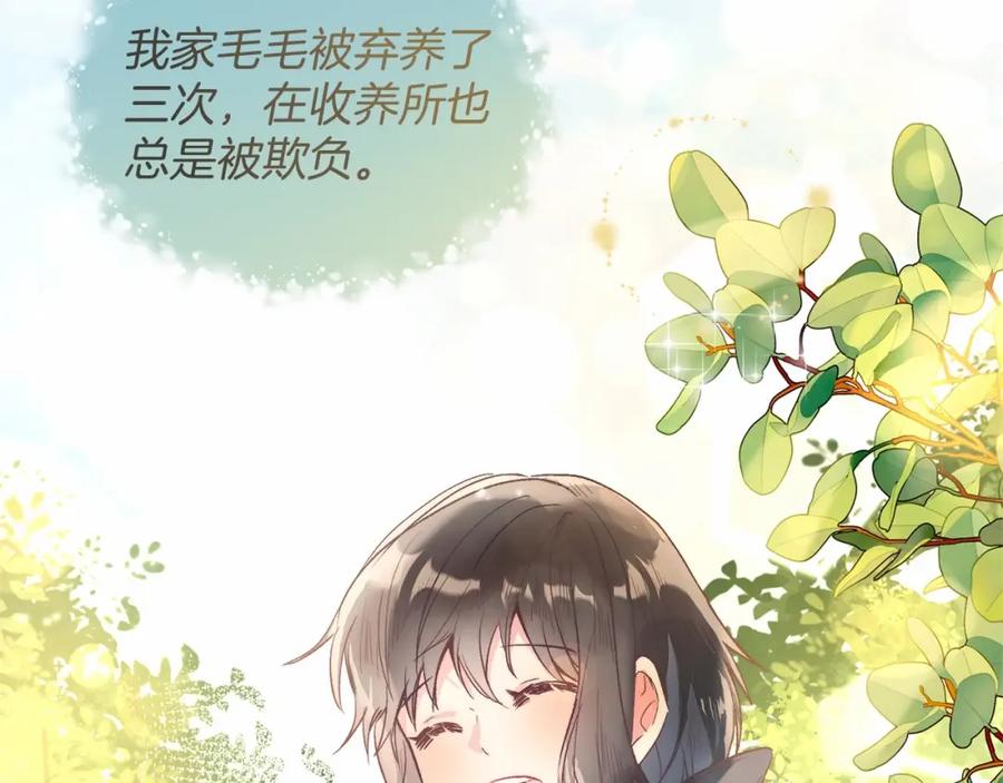 第204页