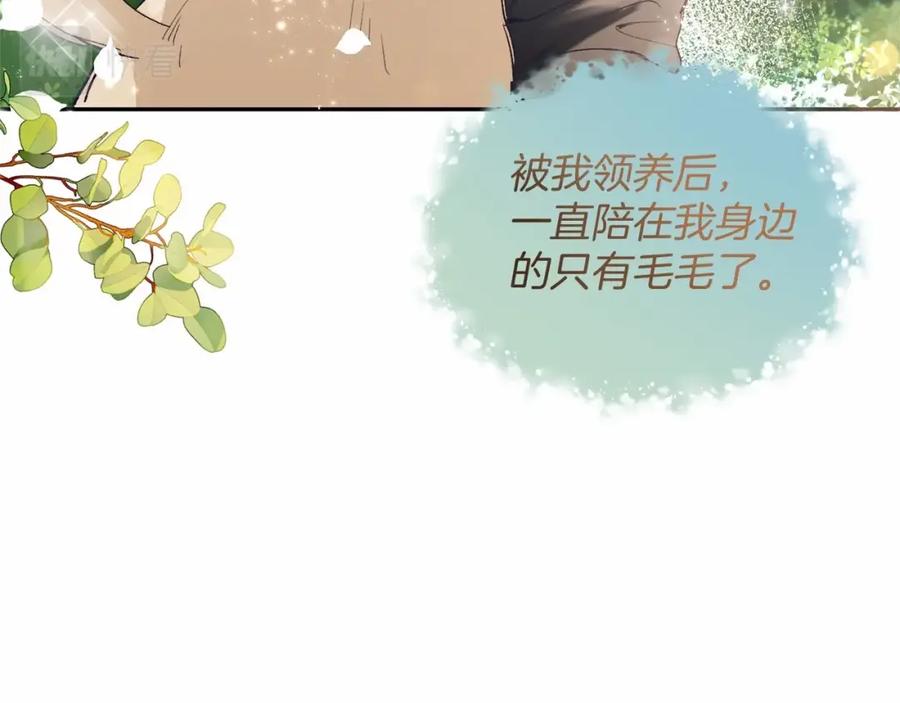第206页