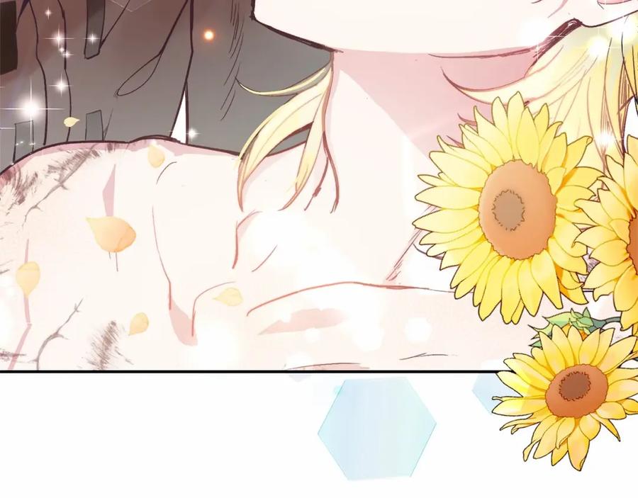 第264页