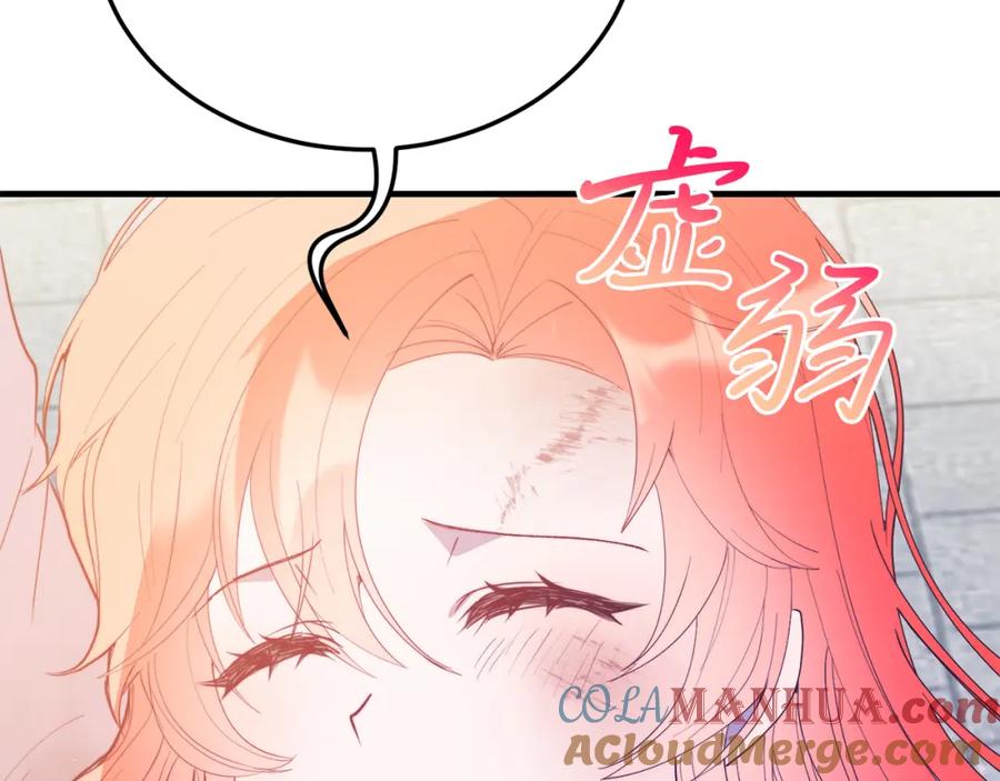 第205页