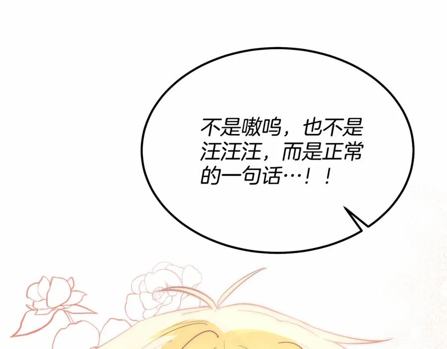 第248页