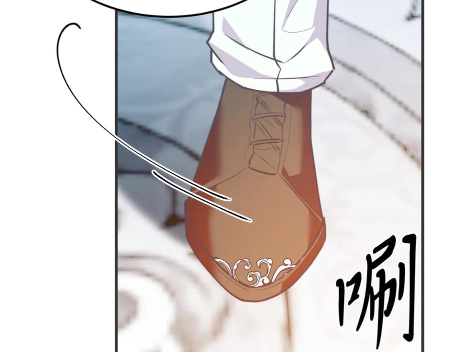 第204页