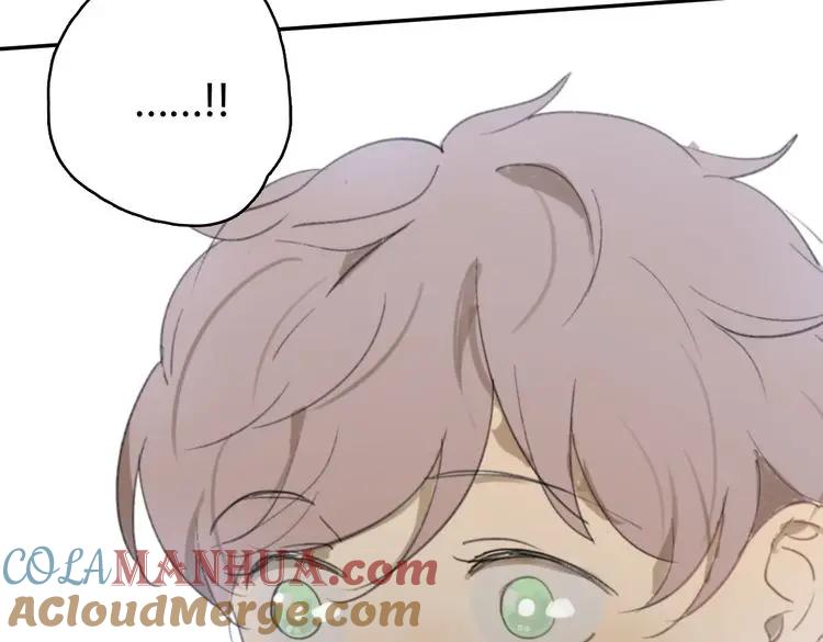 第221页