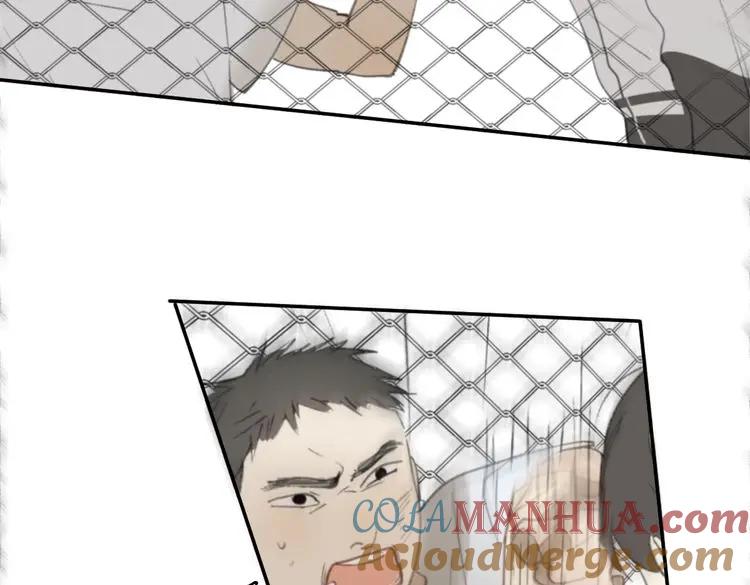 第229页