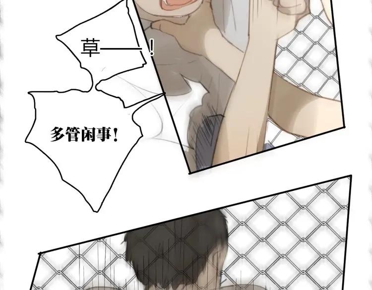 第231页