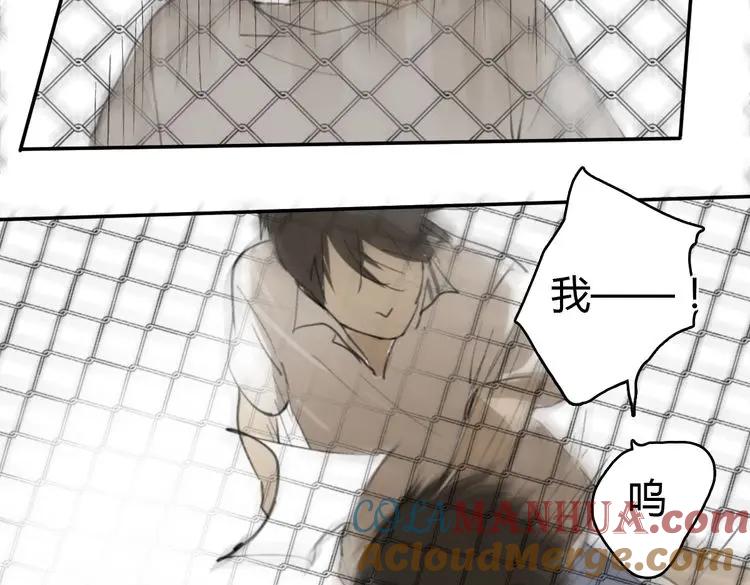 第233页