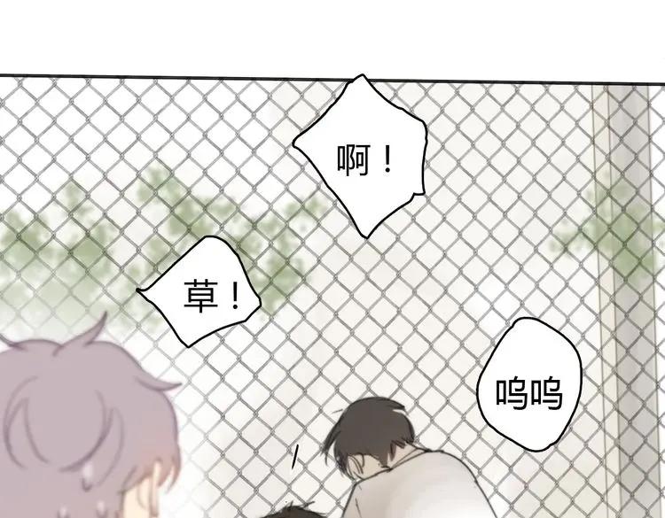 第236页