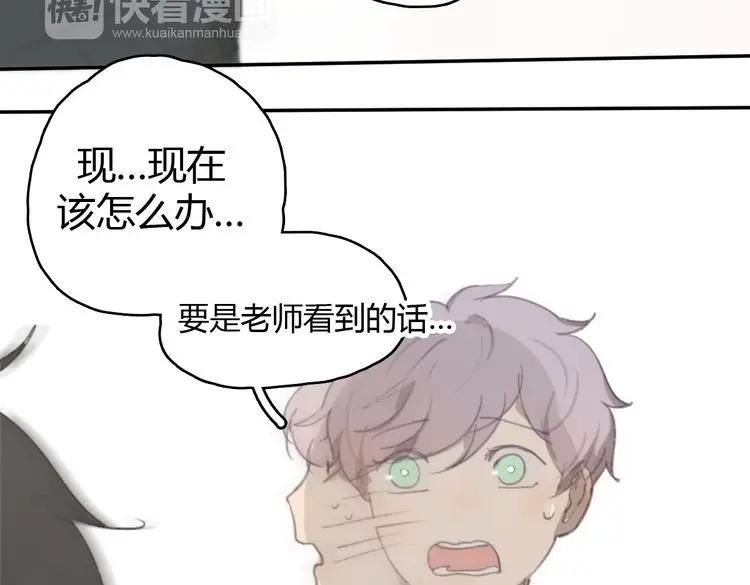 第240页