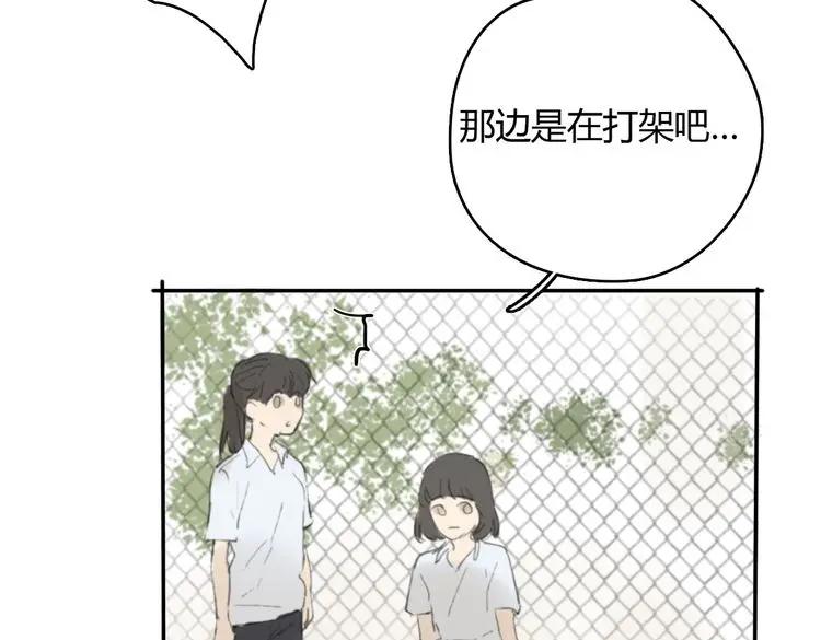 第244页