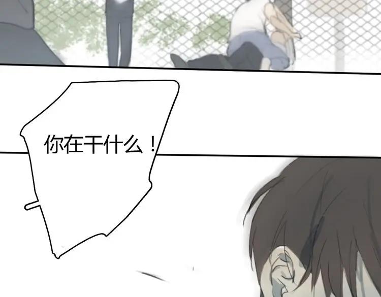 第254页