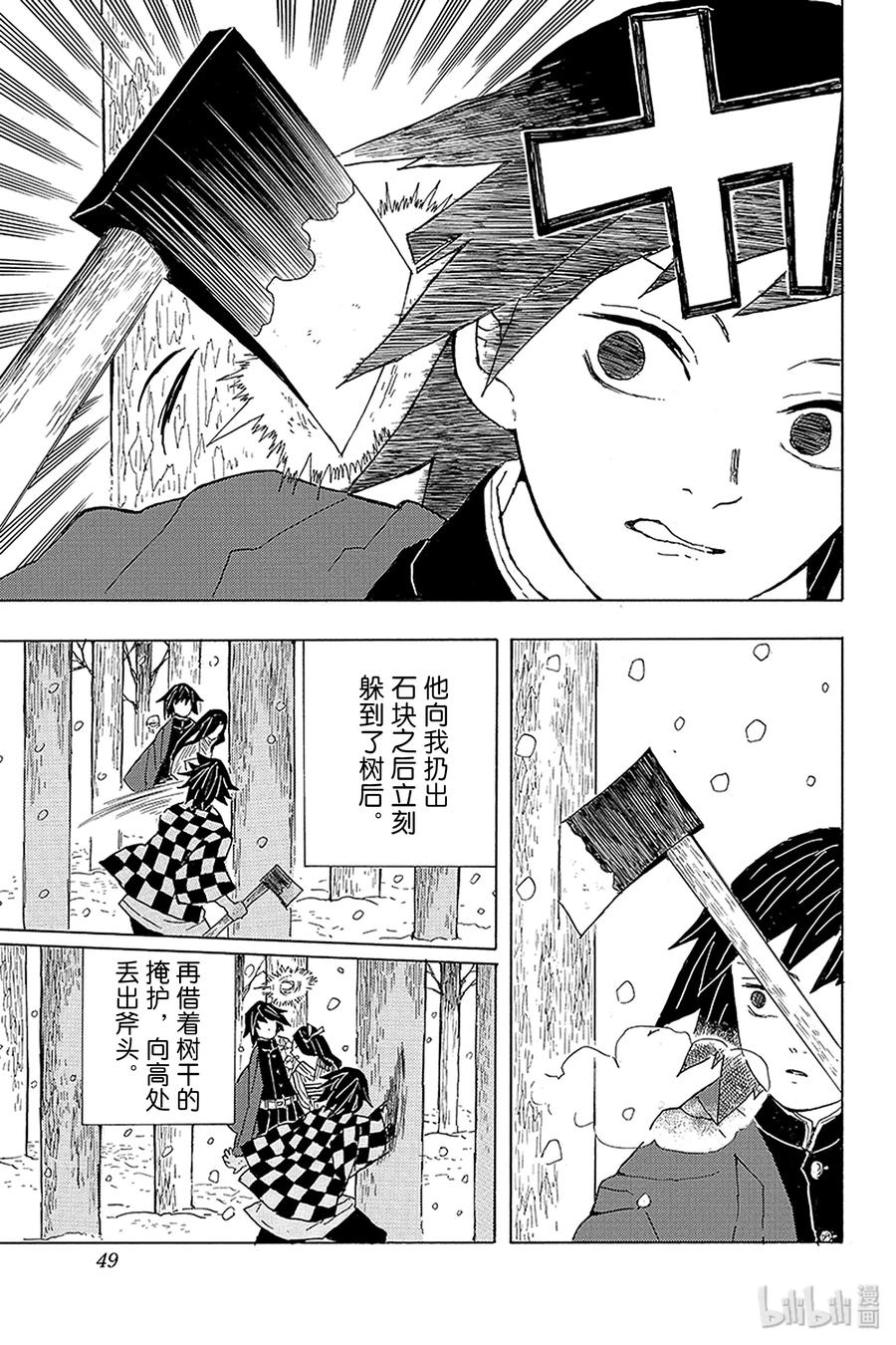 第48页