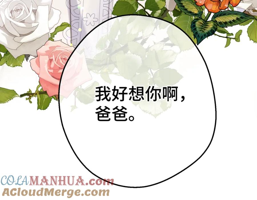 第271页