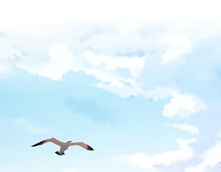 第150页