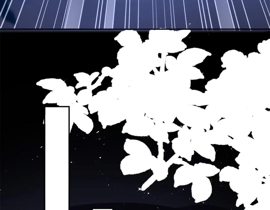 第224页