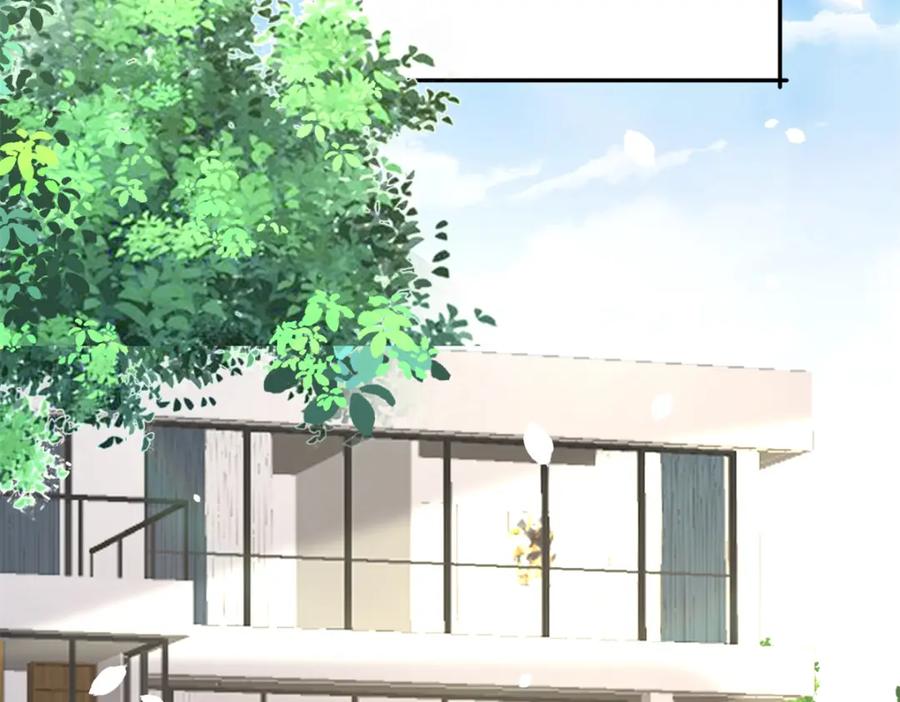 第239页