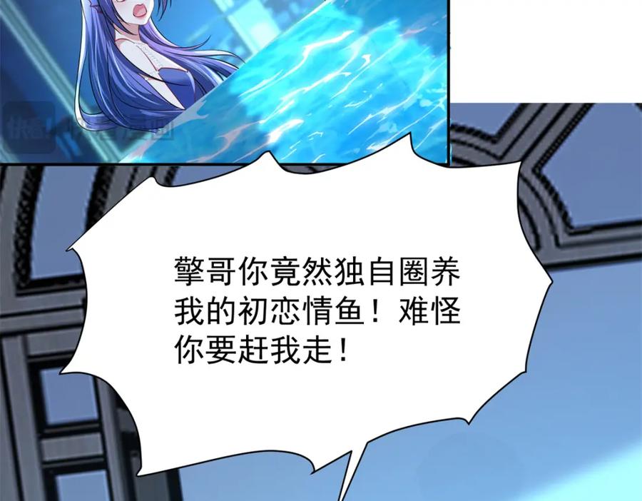 第231页
