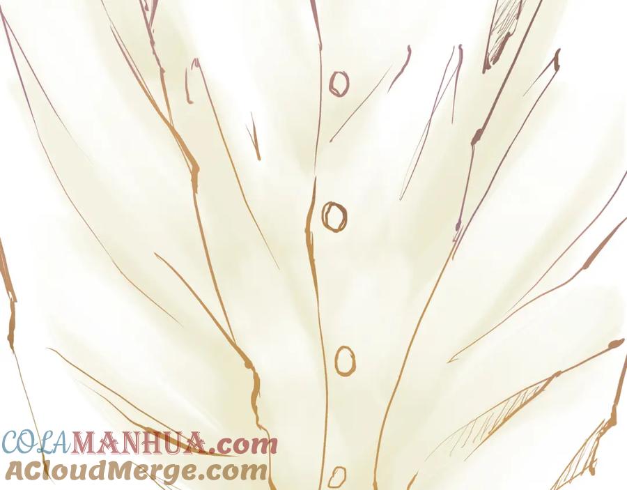 第233页