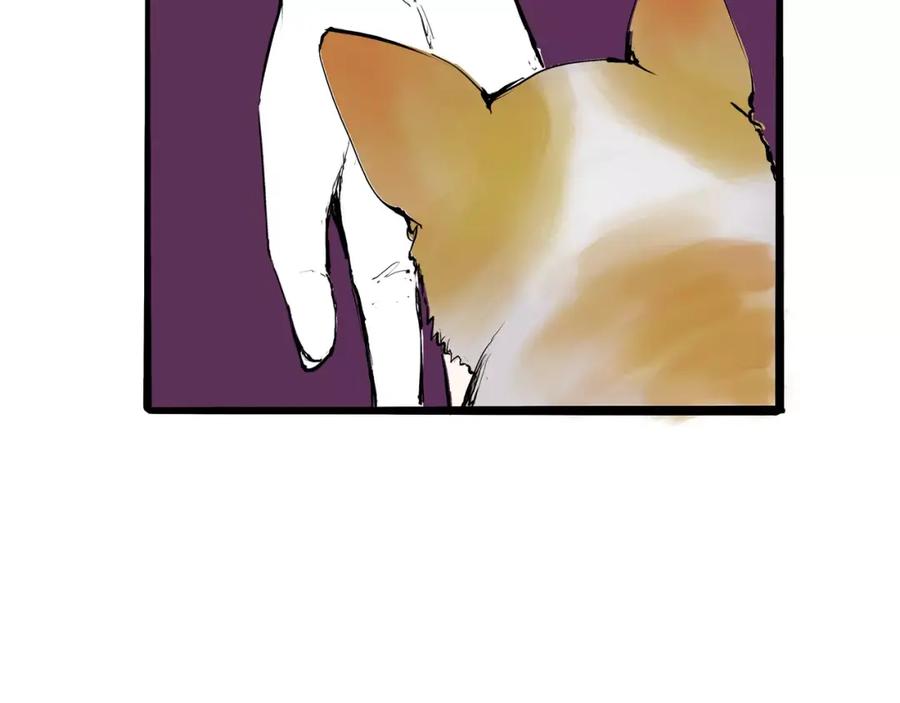 第364页