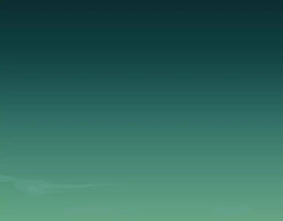 第221页