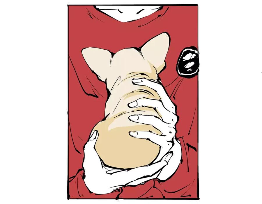 第204页