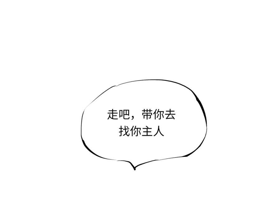 第206页