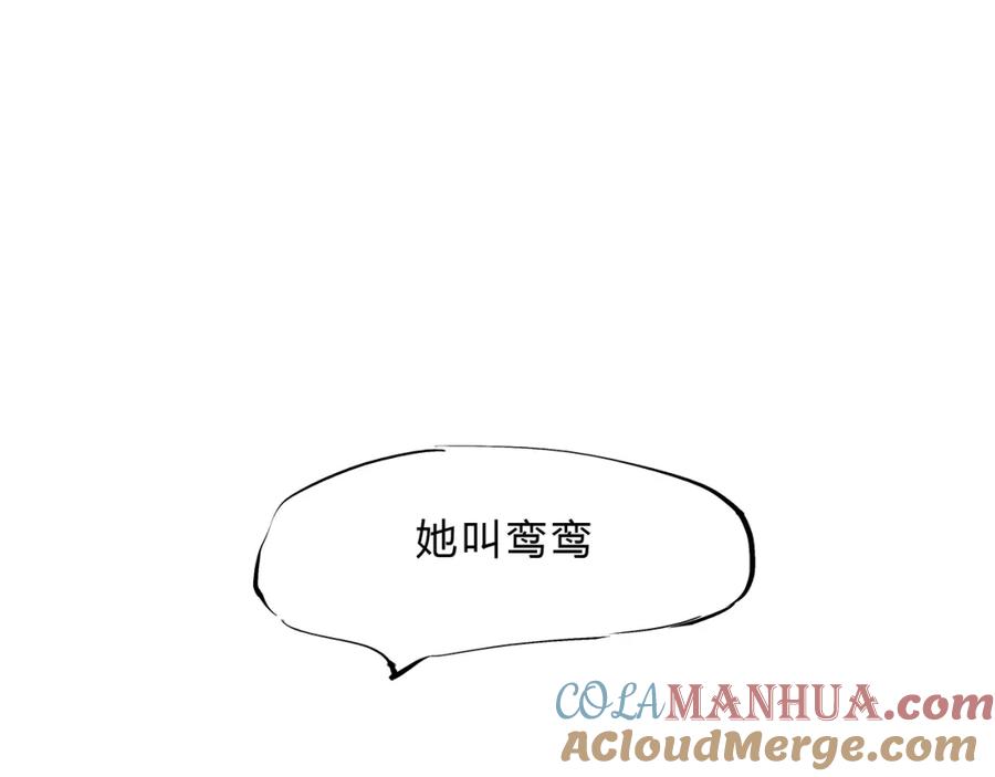 第205页