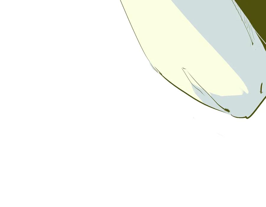 第255页
