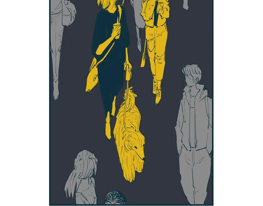 第244页
