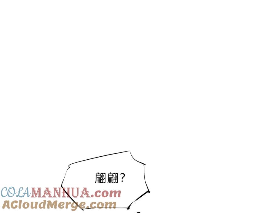 第245页