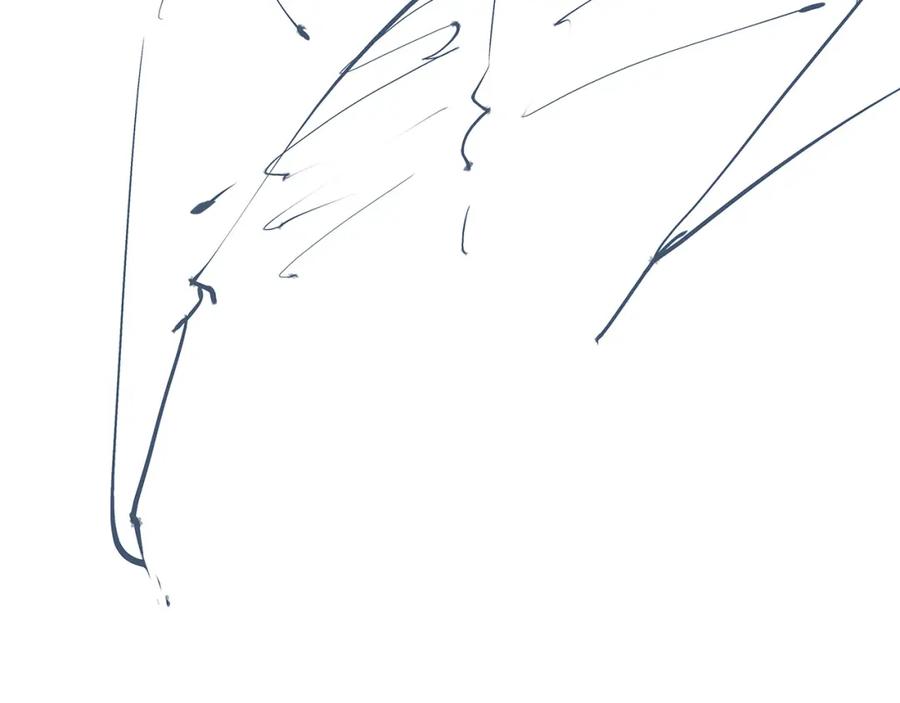 第262页