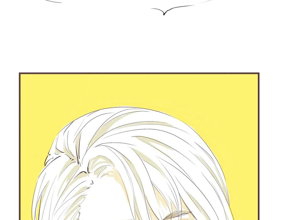 第244页