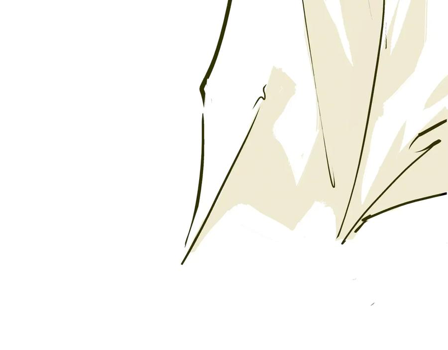 第255页