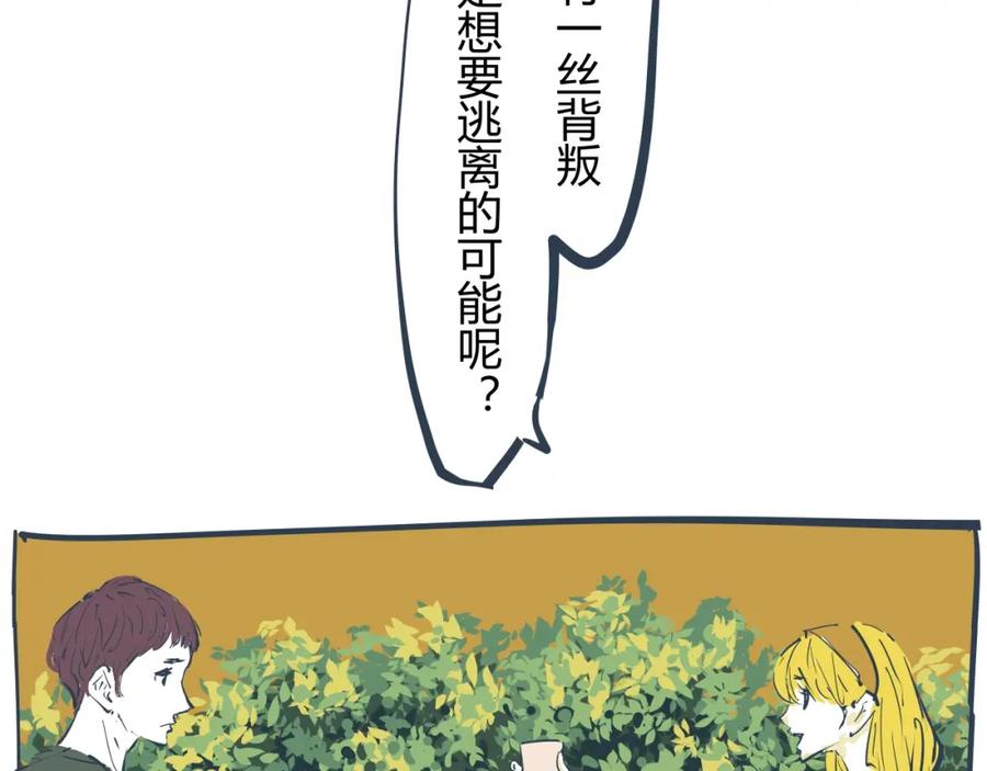 第255页