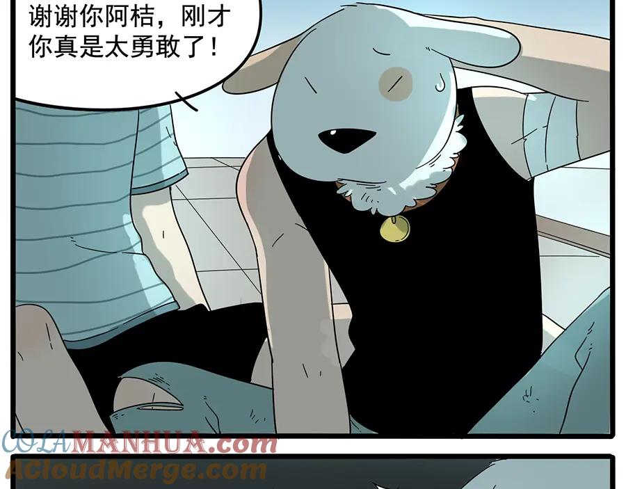 第43页