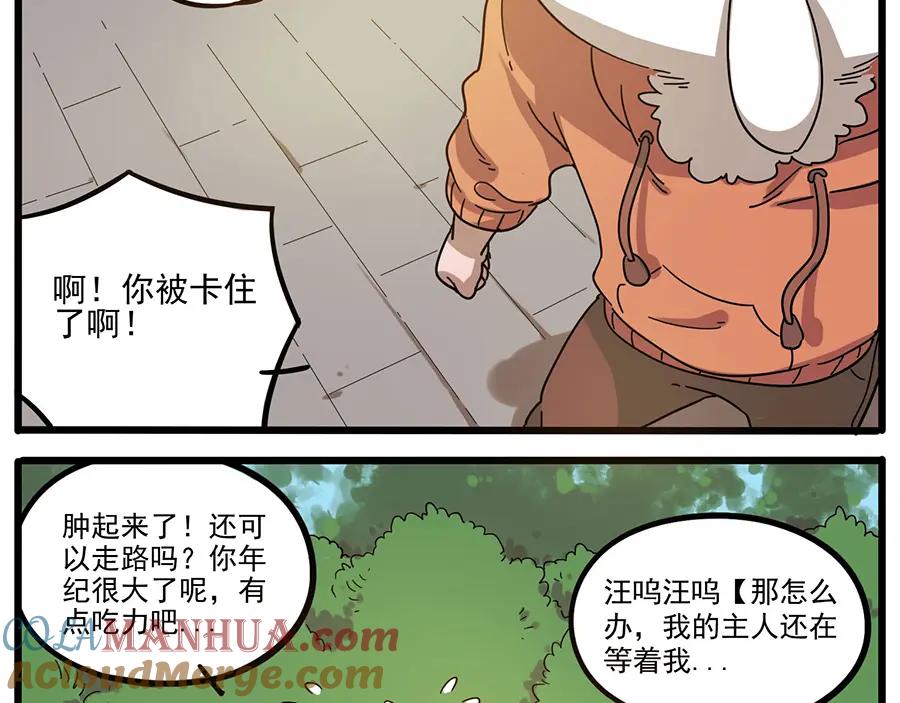 第55页