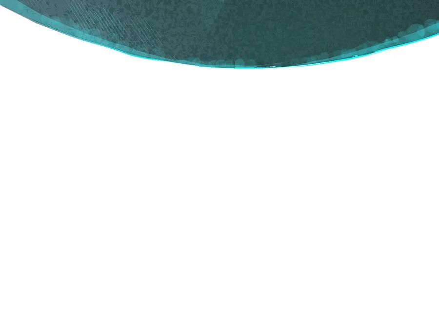 第194页