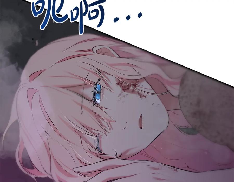 第231页