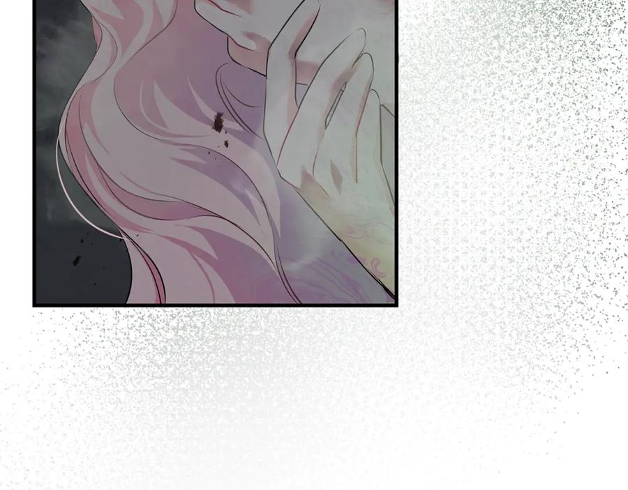 第239页