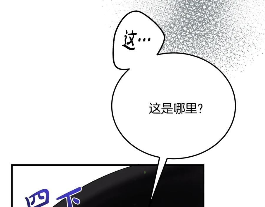 第255页