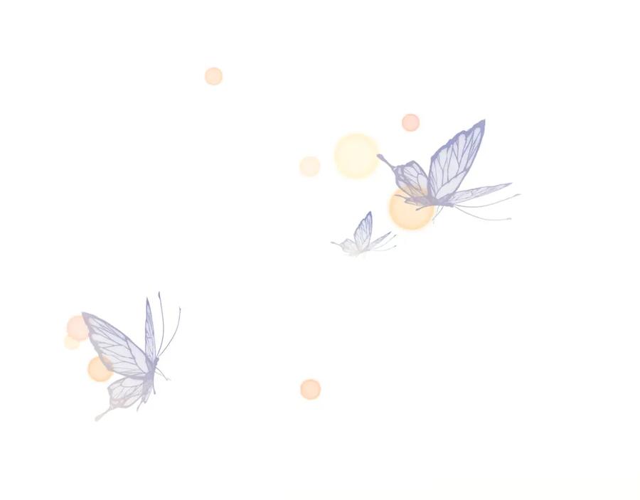 第231页