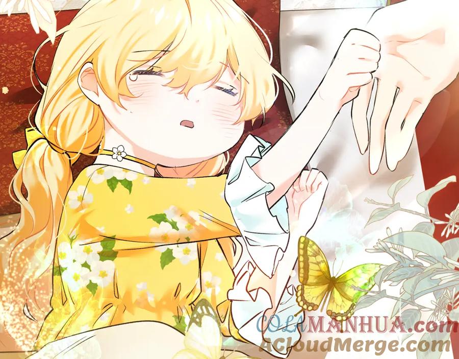 第205页