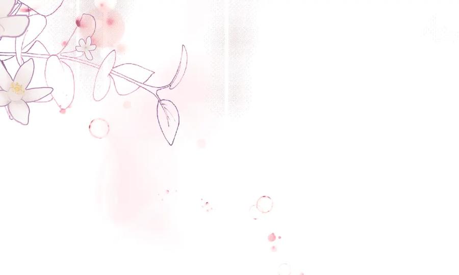 第204页